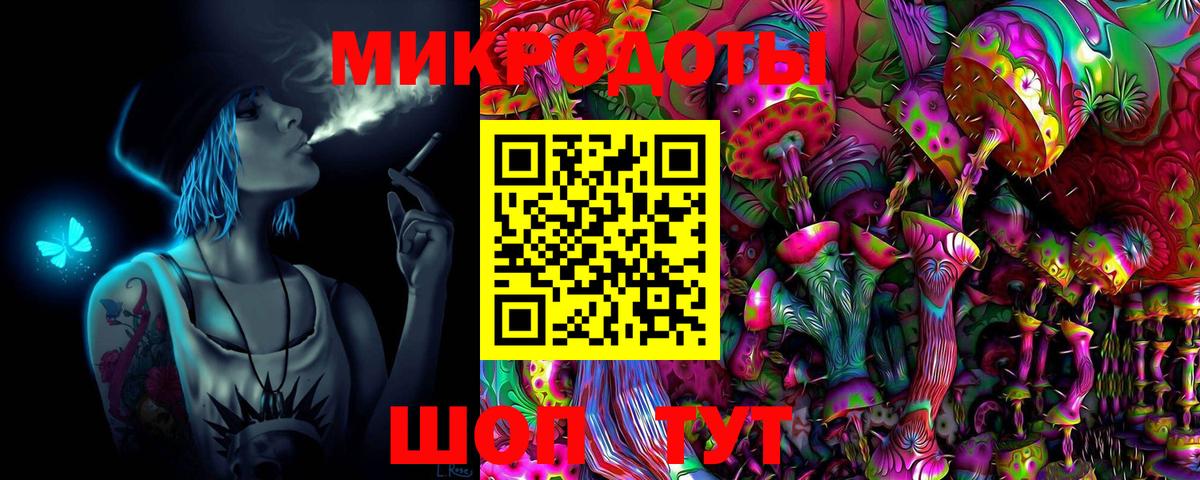 Псилоцибиновые грибы Psilocybine cubensis Дзержинский