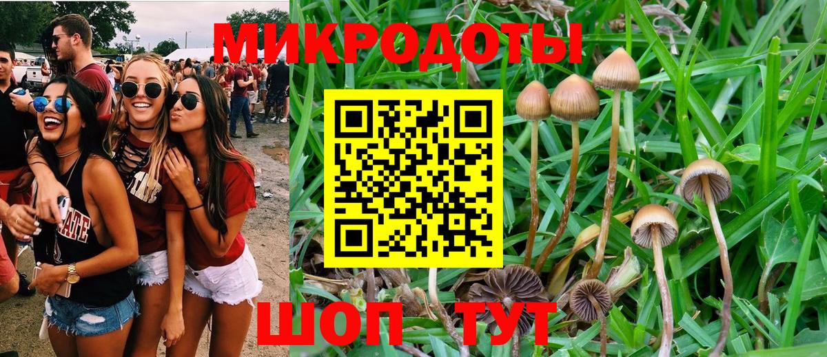 Галлюциногенные грибы Magic Shrooms  Галлюциногенные грибы GOLDEN TEACHER  Вход с VPN  Дзержинский 